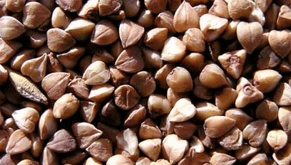 عصيدة الحنطة السوداء لفقدان الوزن